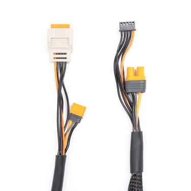 Spektrum SPMX-1012 2-6S IC5 60cm Charge Lead with In-Built Balance Plug